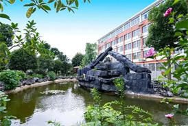 关于金海