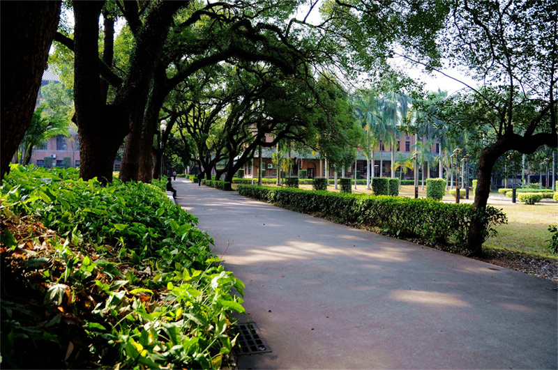 金海学校_金海学校是公立还是私立_金海学校是怎样一所学校