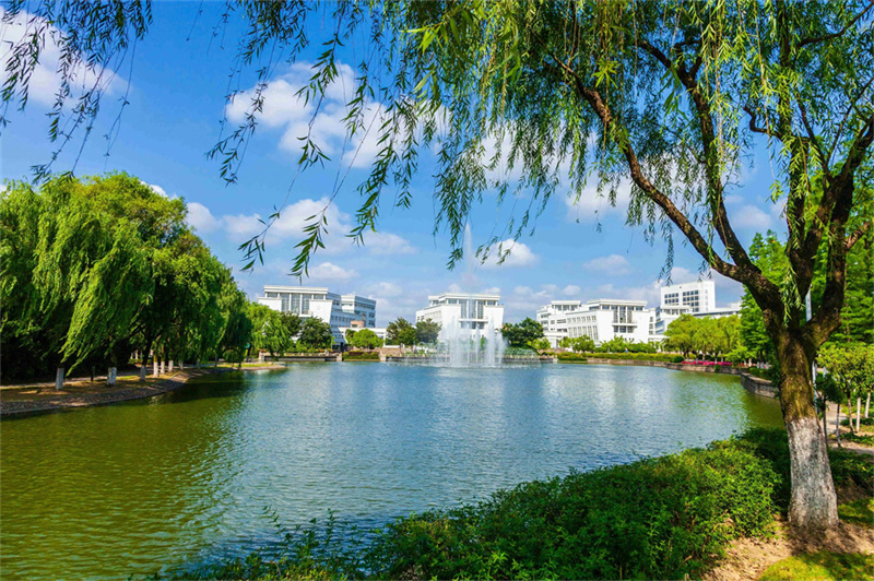 湖南金海教育开发有限公司_长沙金海高中_长沙市雨花区金海中学