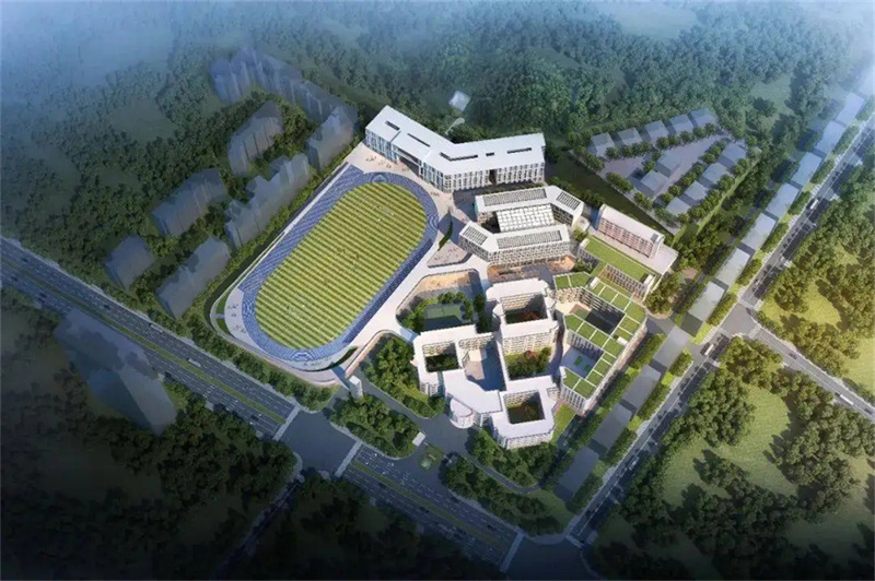 _湖南高考数学解析_高考湖南数学答案