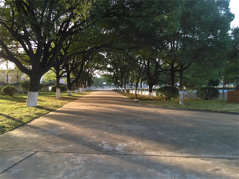 高三复读长沙哪所学校好_长沙市高三复读学校_